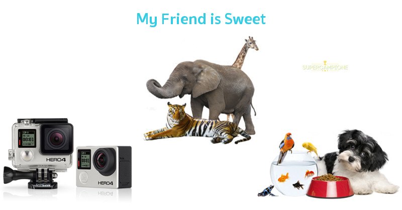 Misura: My Friend is Sweet Misura: My Friend is Sweet