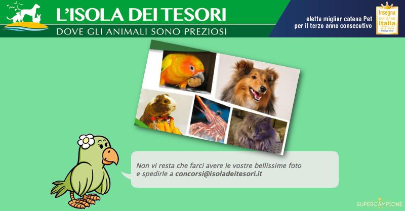 Isola dei Tesori: concorso Calendario 2017 