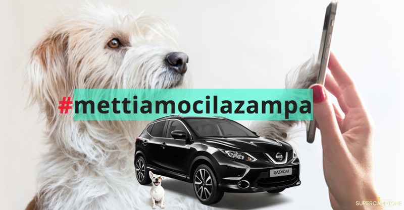 Concorso Purina: vinci Nissan Qashqai