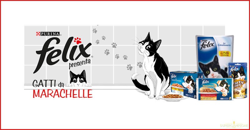 Vinci gratis una fornitura di prodotti Purina Felix per gatti