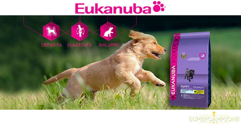 Campioni omaggio Eukanuba Campioni omaggio Eukanuba