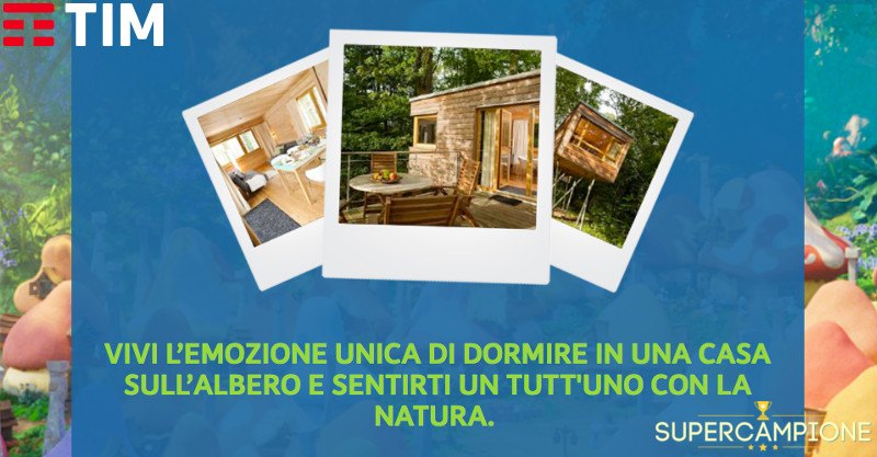 Vinci gratis un weekend nella casa sull'albero Vinci gratis un weekend nella casa sull'albero