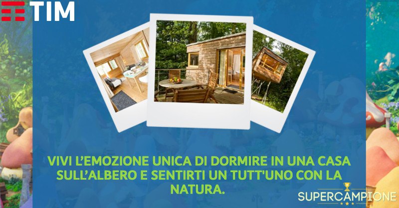 Vinci gratis un weekend nella casa sull'albero