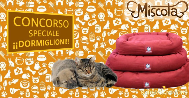 Vinci gratis un lettino per cani o gatti