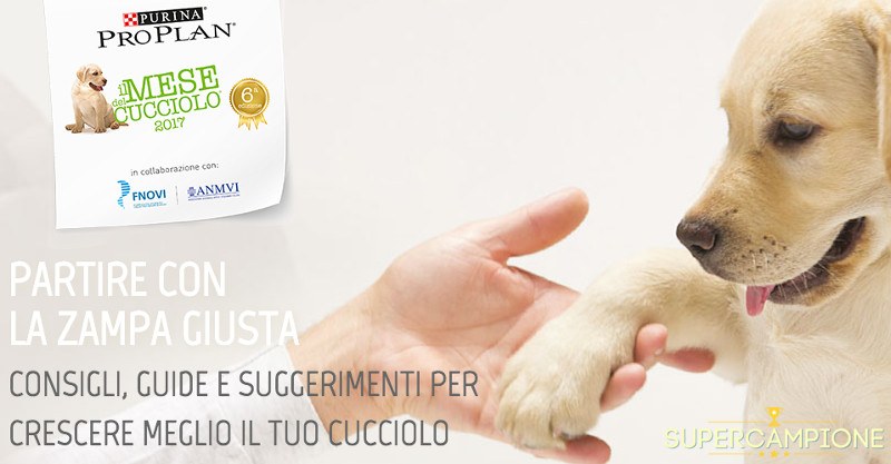 Il Mese del Cucciolo: ricevi in omaggio la Welcome Bag Il Mese del Cucciolo: ricevi in omaggio la Welcome Bag