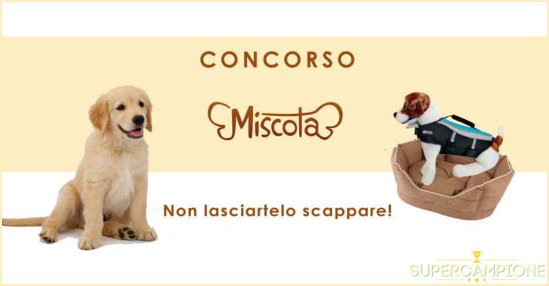 Vinci gratis giubbino di salvataggio e cuccia per cane Vinci gratis giubbino di salvataggio e cuccia per cane