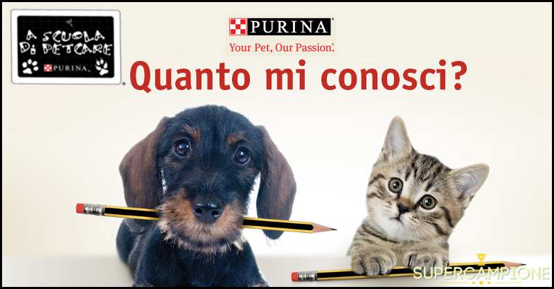 Purina: Vinci subito un Notebook HP 15? e una lavagna LIM Purina: Vinci subito un Notebook HP 15? e una lavagna LIM