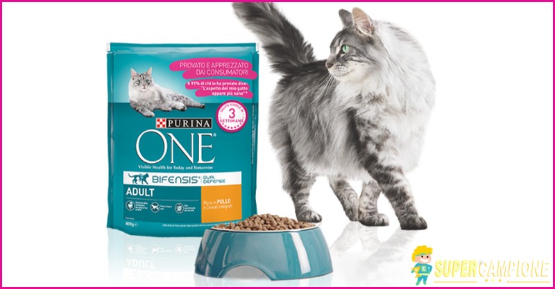 Vinci una fornitura Purina e ricevi un buono sconto Vinci una fornitura Purina e ricevi un buono sconto