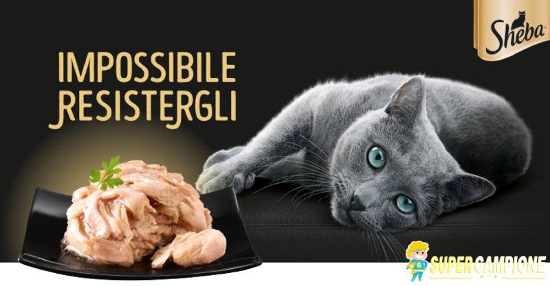 Diventa tester cibo per gatti Sheba