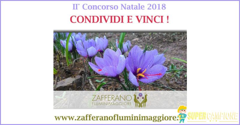 Vinci gratis Zafferano Fluminimaggiore e ceramiche