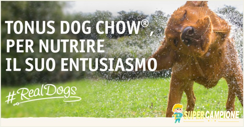 Vinci gratis Tonus Dog Chow Vinci gratis Tonus Dog Chow
