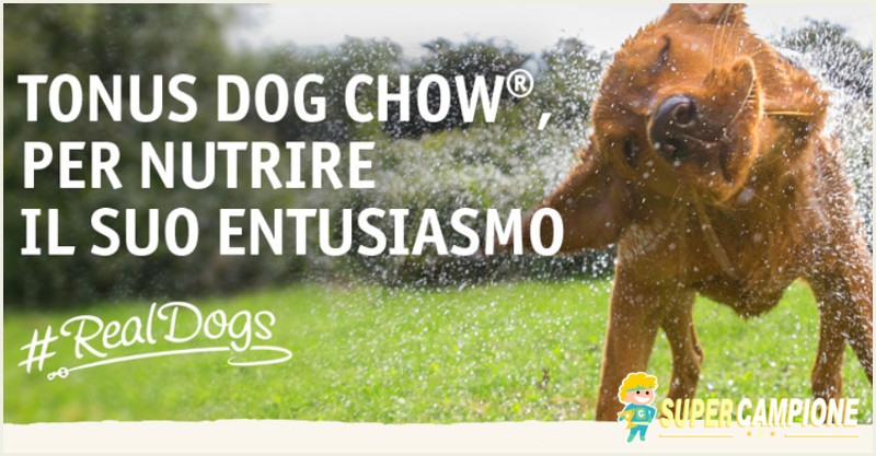 Vinci gratis Tonus Dog Chow