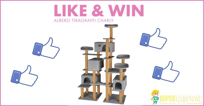 Vinci un albero tiragraffi Charly Vinci un albero tiragraffi Charly