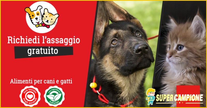 Campioni omaggio cibo per cani e gatti Husse