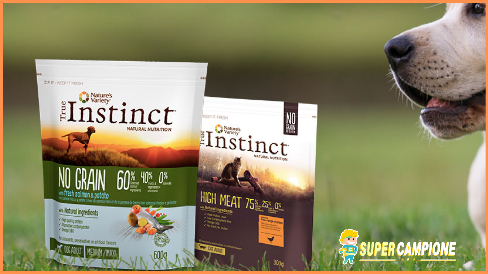 Diventa tester crocchette cane o gatto True Instinct Diventa tester crocchette cane o gatto True Instinct