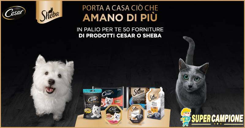 Vinci 50 forniture per cane o gatto Cesar o Sheba