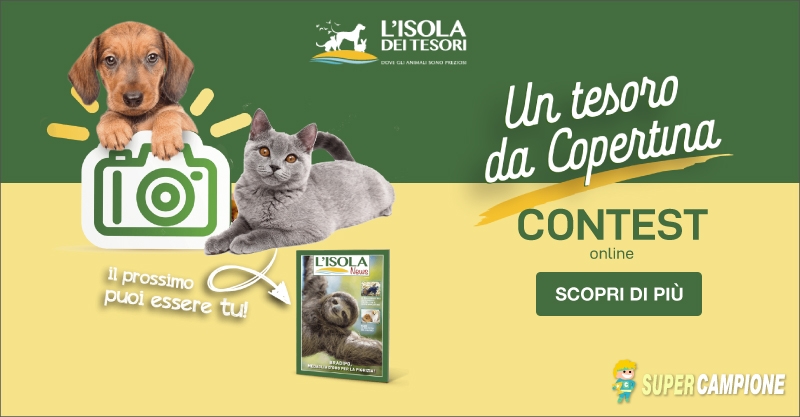 Omaggio buono spesa da 5€ con L'Isola dei Tesori