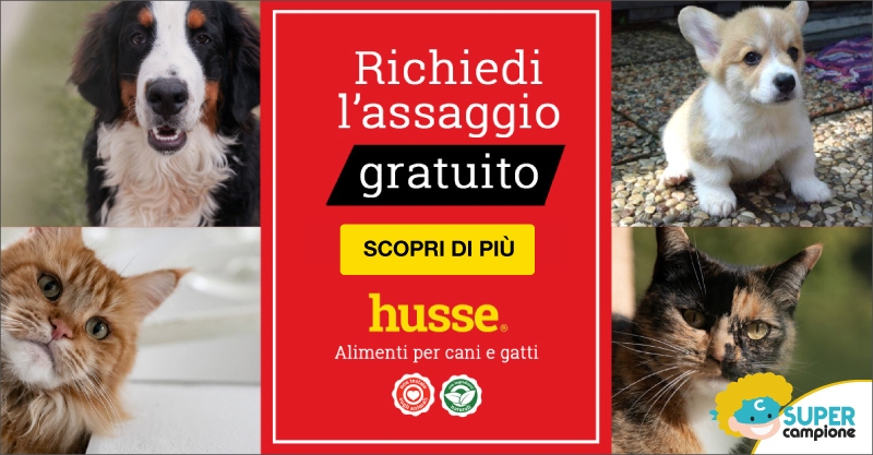 Campioni omaggio cibo per cani e gatti Husse Campioni omaggio cibo per cani e gatti Husse