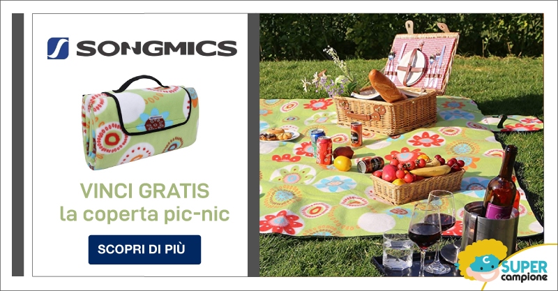 Vinci gratis la coperta pic-nic Songmics Vinci gratis la coperta pic-nic Songmics
