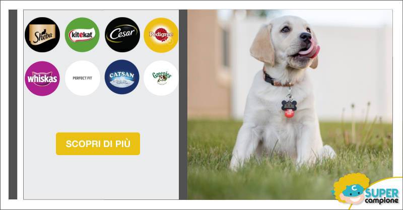 Vinci 100 medagliette personalizzate cane e gatto Vinci 100 medagliette personalizzate cane e gatto