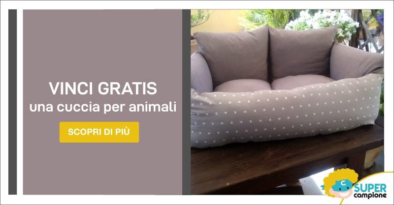 Vinci gratis divanetto per cane o gatto