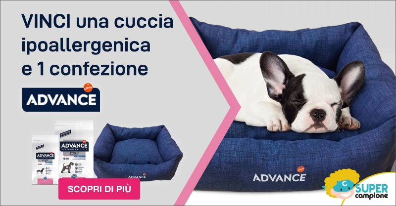 Vinci Gratis una cuccia ipoallergenica e 1 confezione ADVANCE