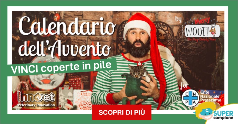 Calendario dell'Avvento Innovet: vinci coperte in pile Calendario dell'Avvento Innovet: vinci coperte in pile