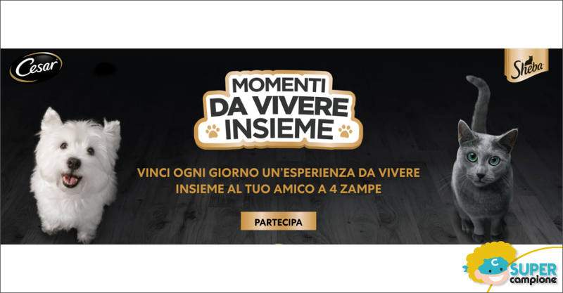 Cesar e Sheba: vinci esperienze con il tuo amico a 4 zampe Cesar e Sheba: vinci esperienze con il tuo amico a 4 zampe