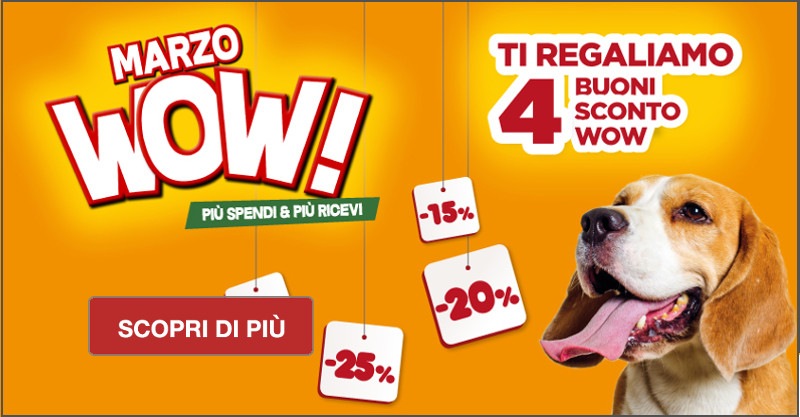 L'Isola dei Tesori: Cartoline sconto L'Isola dei Tesori: Cartoline sconto
