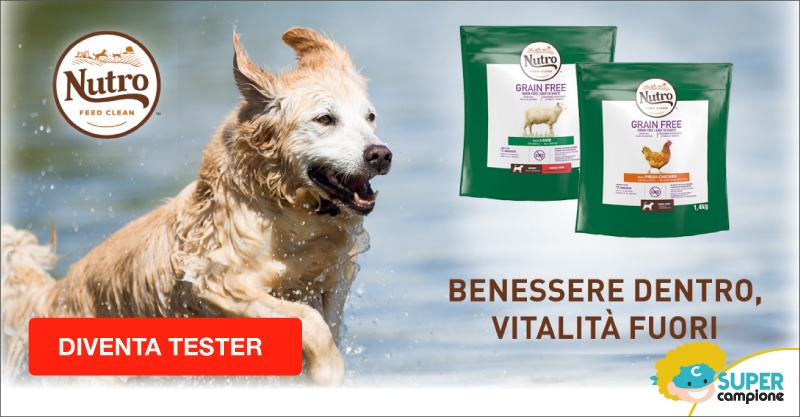 Diventa tester Nutro: alimenti per animali Diventa tester Nutro: alimenti per animali