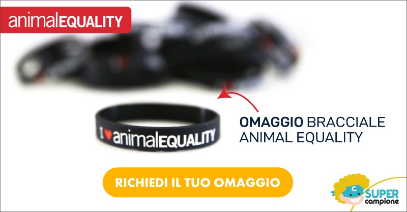 Ricevi in omaggio il bracciale Animal Equality Ricevi in omaggio il bracciale Animal Equality