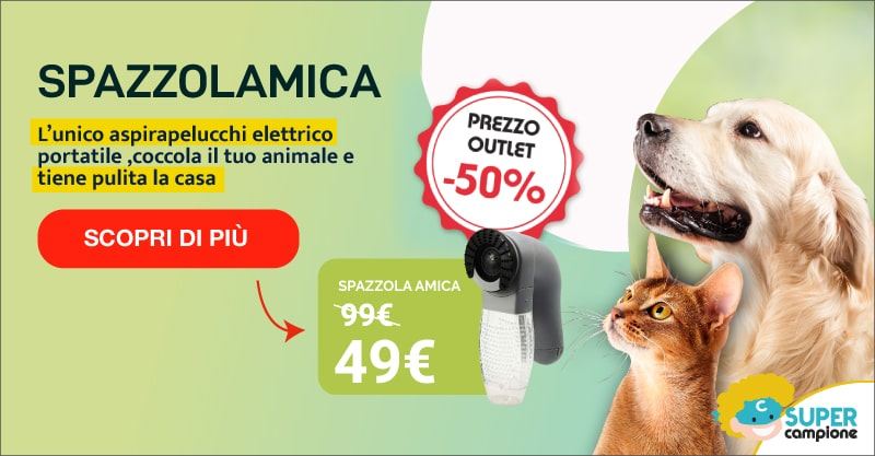 Offerta Spazzolamica: aspirapelucchi elettrico per animali e casa