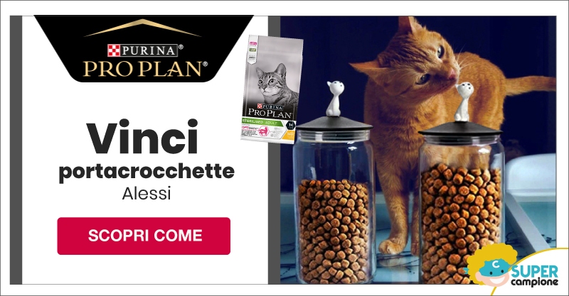 Vinci portacrocchette Alessi con Purina Vinci portacrocchette Alessi con Purina