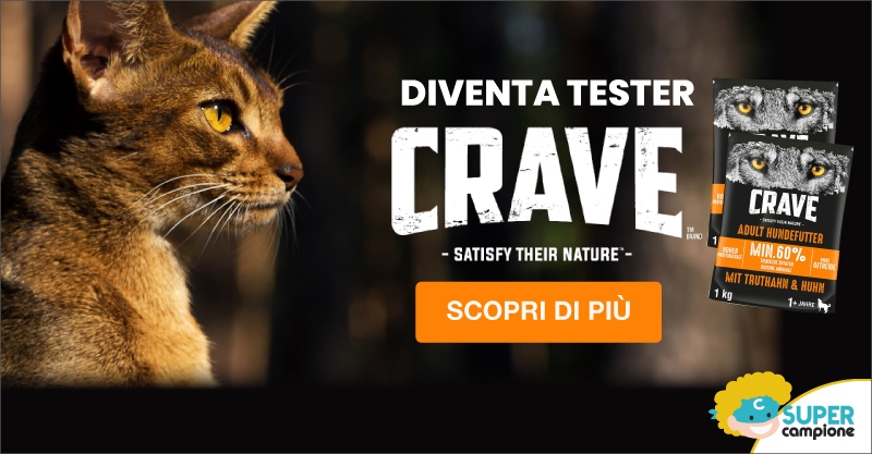 Diventa tester cibo per animali Crave Diventa tester cibo per animali Crave
