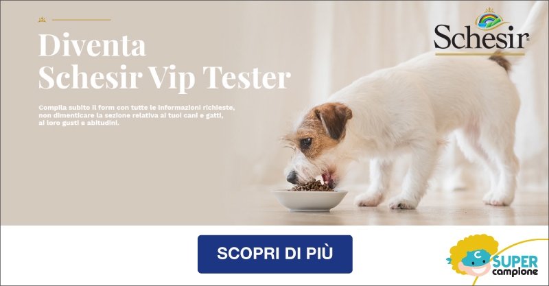 Diventa tester VIP Schesir prodotti per animali Diventa tester VIP Schesir prodotti per animali
