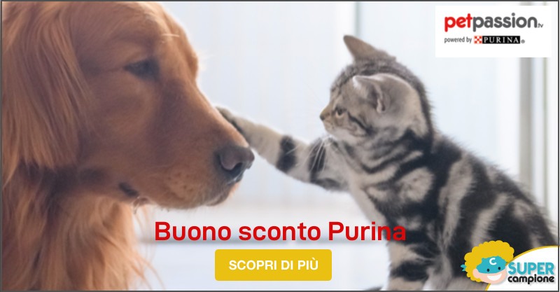 Buono sconto Purina