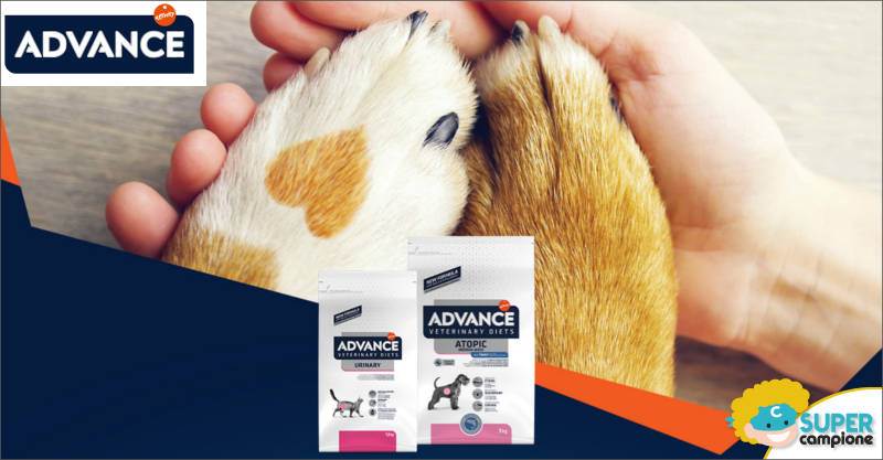 Advcance: vinci polizza assicurativa e ricevi gratis consulenza veterinaria