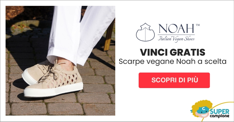 Vinci Gratis scarpe vegane Noah a scelta