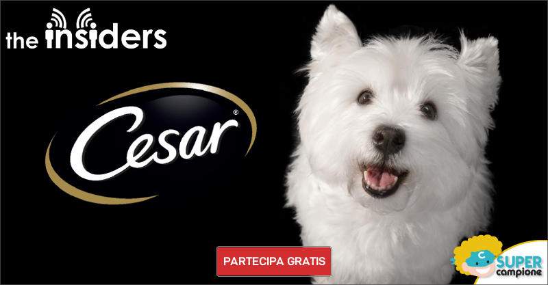 Diventa tester Cesar prodotti per cani