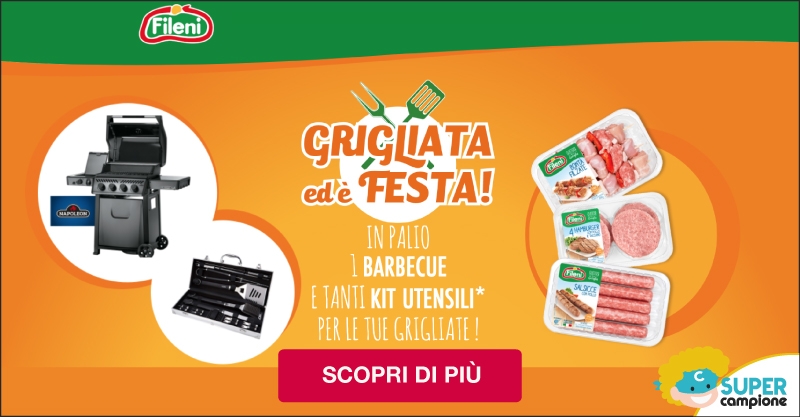 Vinci Kit barbecue o 1 BARBECUE NAPOLEON Vinci Kit barbecue o 1 BARBECUE NAPOLEON