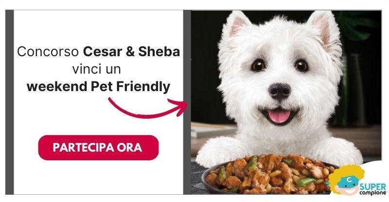 Vinci un weekend Pet Friendly con i prodotti Cesar e Sheba