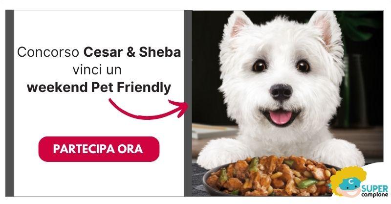 Vinci un weekend Pet Friendly con i prodotti Cesar e Sheba Vinci un weekend Pet Friendly con i prodotti Cesar e Sheba