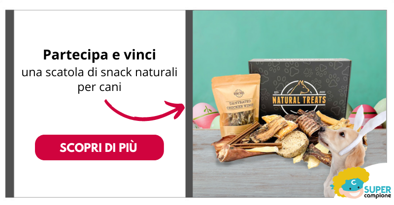 Natural Treats: vinci gratis scatola di snack naturali per cani Natural Treats: vinci gratis scatola di snack naturali per cani