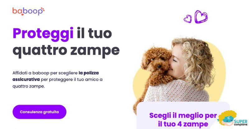 Baboop: assicurazione pet sicura e conveniente